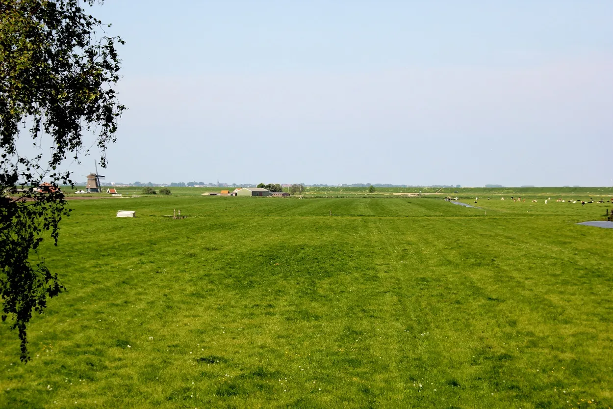 Het uitzicht