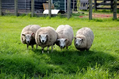 Het uitzicht